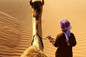 Tour image of Multi-Day Package Tours At Oman