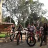 Image of Mountain Bike Tours