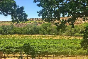 Tour image of Bliss - Sedona’s Most Luxurious Wine Tour - Lunch Included!