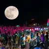 Image of Music Tours