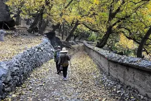 Tour image of Atlas Mountains: Berber Villages & Valleys Tour + Private Choice