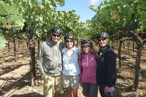 Tour image of Independent Hassle-free Bike Rental in Sonoma