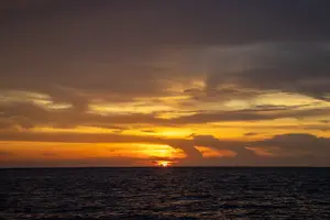Tour image of Private 5-Hour Egmont Key Boat Tour in St. Petersburg, FL