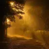 Image of Ghost Tours