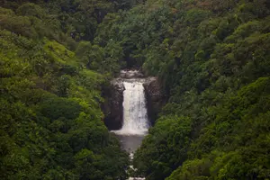 Tour image of Day Trip from Oahu to Hilo: Volcano Adventure