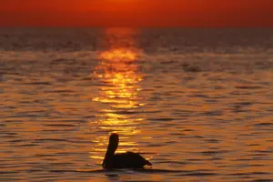 Tour image of Private Sunset Cruise South Padre Island