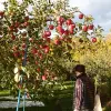 Image of Plantation Tours