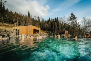 Tour image of Cruise Tour Godafoss Turf Houses and Forest Baths Small Group