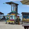 Image of Street Food Tours