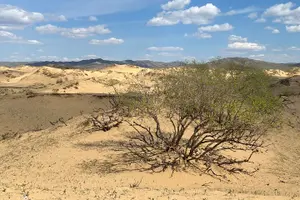 Tour image of Private Khustain National Park and City Tour in Mongolia