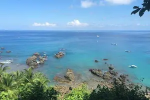 Tour image of Caño Island from Sierpe