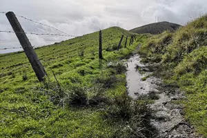 Tour image of Private Half-Day Hike around the Caldeira