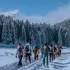 Image of Snowshoeing