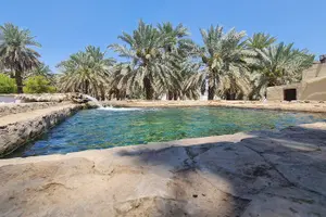 Tour image of Madina Tour Sites - Ziyarat