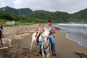 Tour image of 1 1/2 hours Tour Horseback Riding and Visiting the Beach