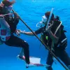 Image of Freediving