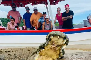 Tour image of Jason Crocodile Tours