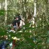 Image of Hiking Tours
