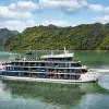 Image of Multi-day Cruises