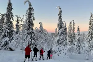 Tour image of Snowshoeing Excursion in Pallas-Ylästunturi National Park from Levi