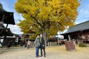 Tour image of Shirakawago and Takayama Licensed Guide and Vehicle from Kanazawa