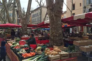 Tour image of Provence Full Day Private Tour with Driver-guide from Marseille