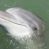 Image of Nature and Wildlife Tours