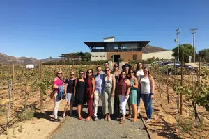 Tour image of Luxury Private Wine Tasting Tour to Guadalupe Valley from San Diego