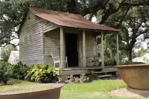 Tour image of Private Airboat Ride and Plantations Tour with Gourmet Lunch from New Orleans