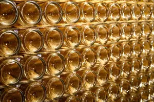 Tour image of Private Full Day Tour - Visit of 3 Champagne Growers from Reims.