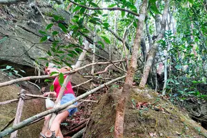 Tour image of Full Day North of Phu Quoc Island Private Tour by Local Guide
