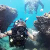 Image of Scuba Diving