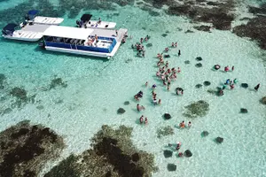 Tour image of 3-Hours Eye-Opening Stingray City Antigua - Transfer R/T included