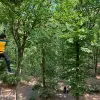 Image of Obstacle Courses