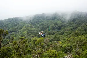Tour image of Sky Adventures Combo: Walk, Tram & Zipline from Monteverde