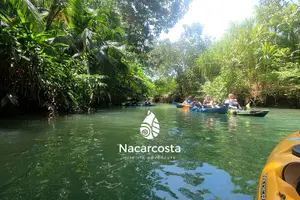 Tour image of Mangrove Kayak