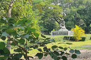 Tour image of Killing field and Toul Sleng genocide museum Tour