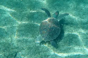 Image of Greece