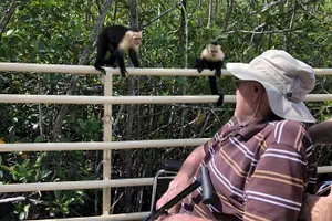 Tour image of Costa Rica Pura Vida 8 Days and 7 Nights (Minimum 2 people)