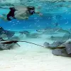 Image of Nature and Wildlife Tours