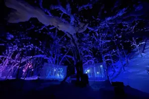 Tour image of Sapporo Private Sightseeing Tour in Onsen with Special Package
