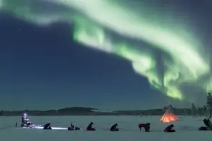 Tour image of Northern Lights Dog Sledding Hunt with Fika from Kiruna