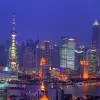 Image of Night Cruises