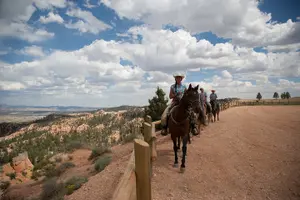 Tour image of Ruby's Horseback Adventures Utah 1.5 Hour Ride