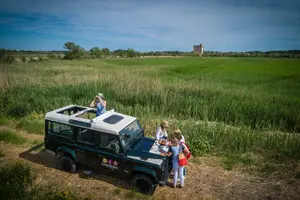 Tour image of Camargue 4x4 Safari VIP Tour