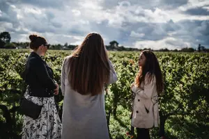 Tour image of St-Emilion & Médoc Combine Day Tour including Wine Tastings and Lunch