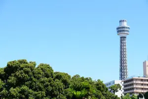 Tour image of Yokohama 4hr Private Tour with Government-Licensed Guide