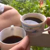 Image of Eco Tours