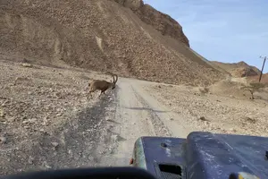 Tour image of Jeep tour adventure Eilat mountains