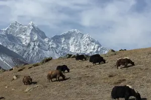 Tour image of Everest Base Camp Trek